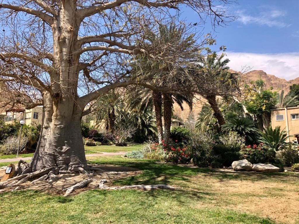 Ein Gedi Caravan By Dory Caravan ภายนอก รูปภาพ
