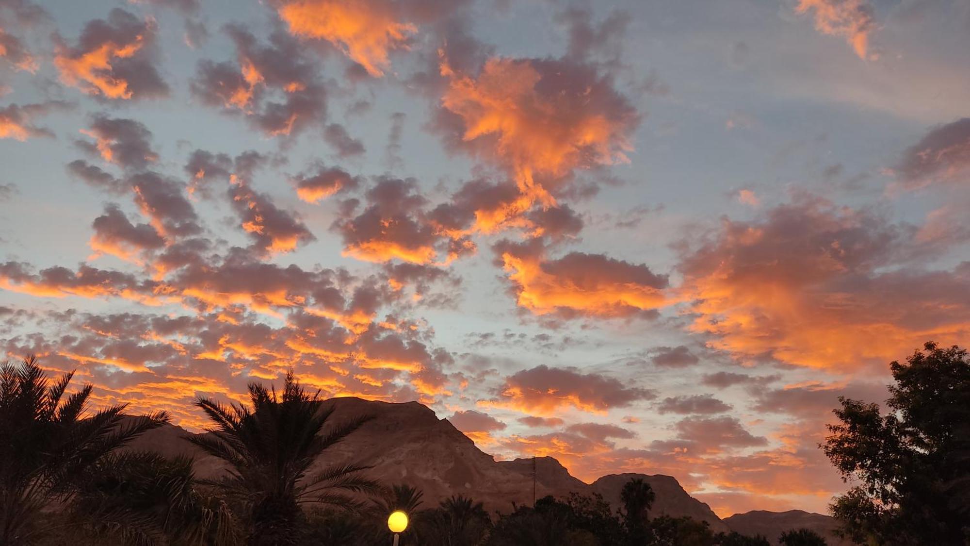 Ein Gedi Caravan By Dory Caravan ห้อง รูปภาพ